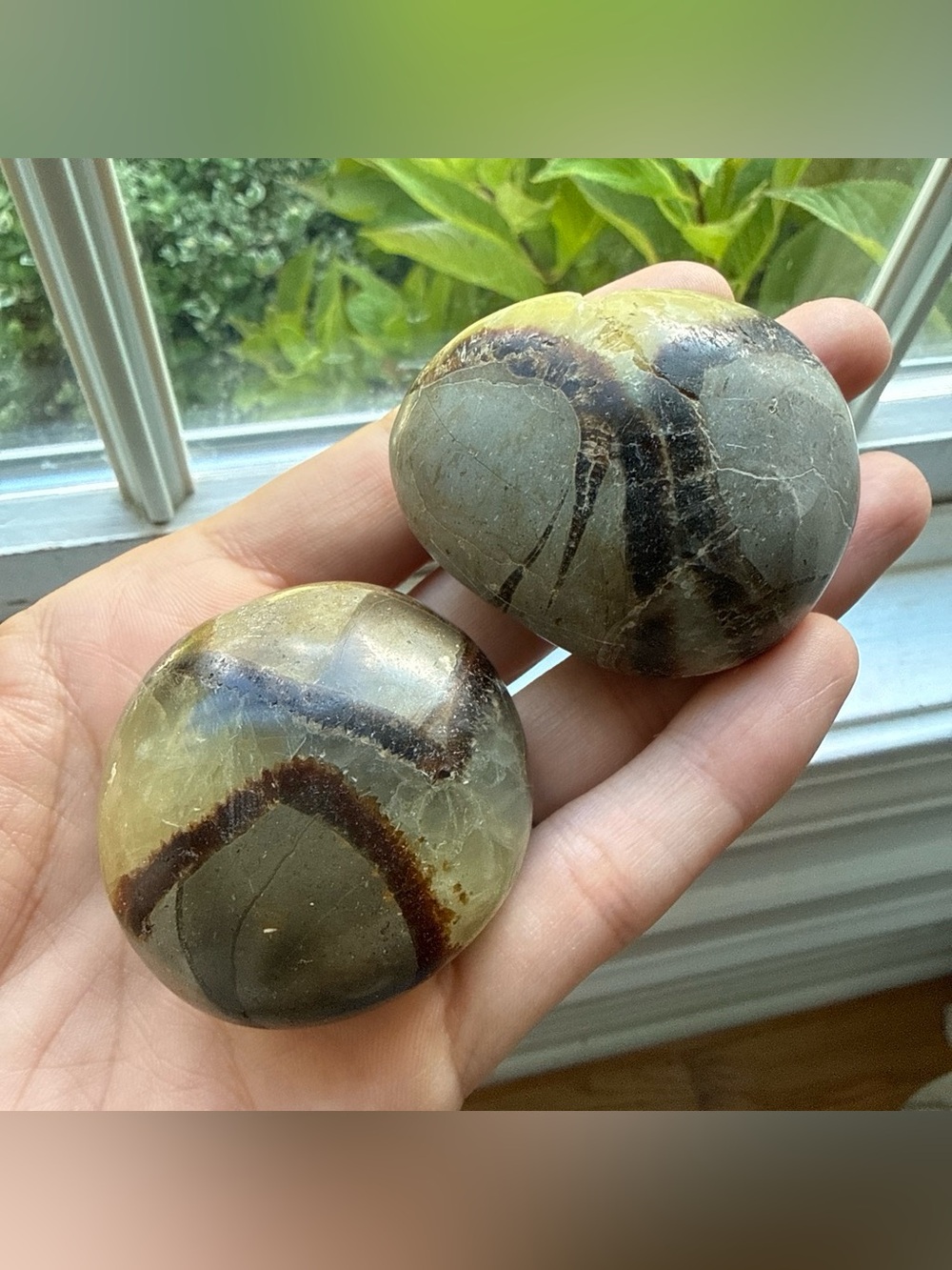 Two Septarian Palm Stones (Dragon Stone)